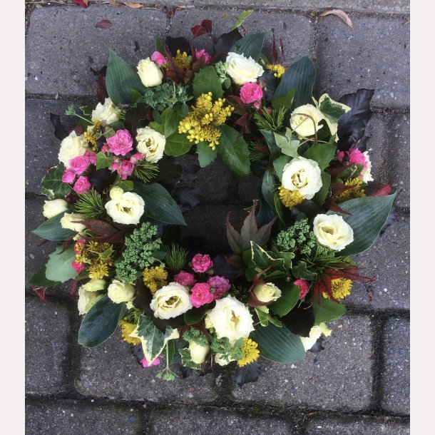 ROSA/GUL OASIS KRANS