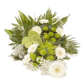 HVID OG LIME BREBUKET