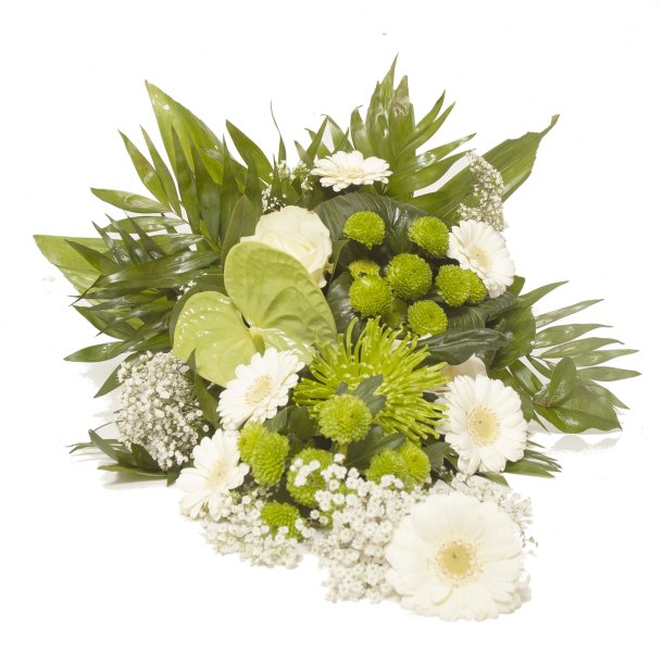 HVID OG LIME BREBUKET