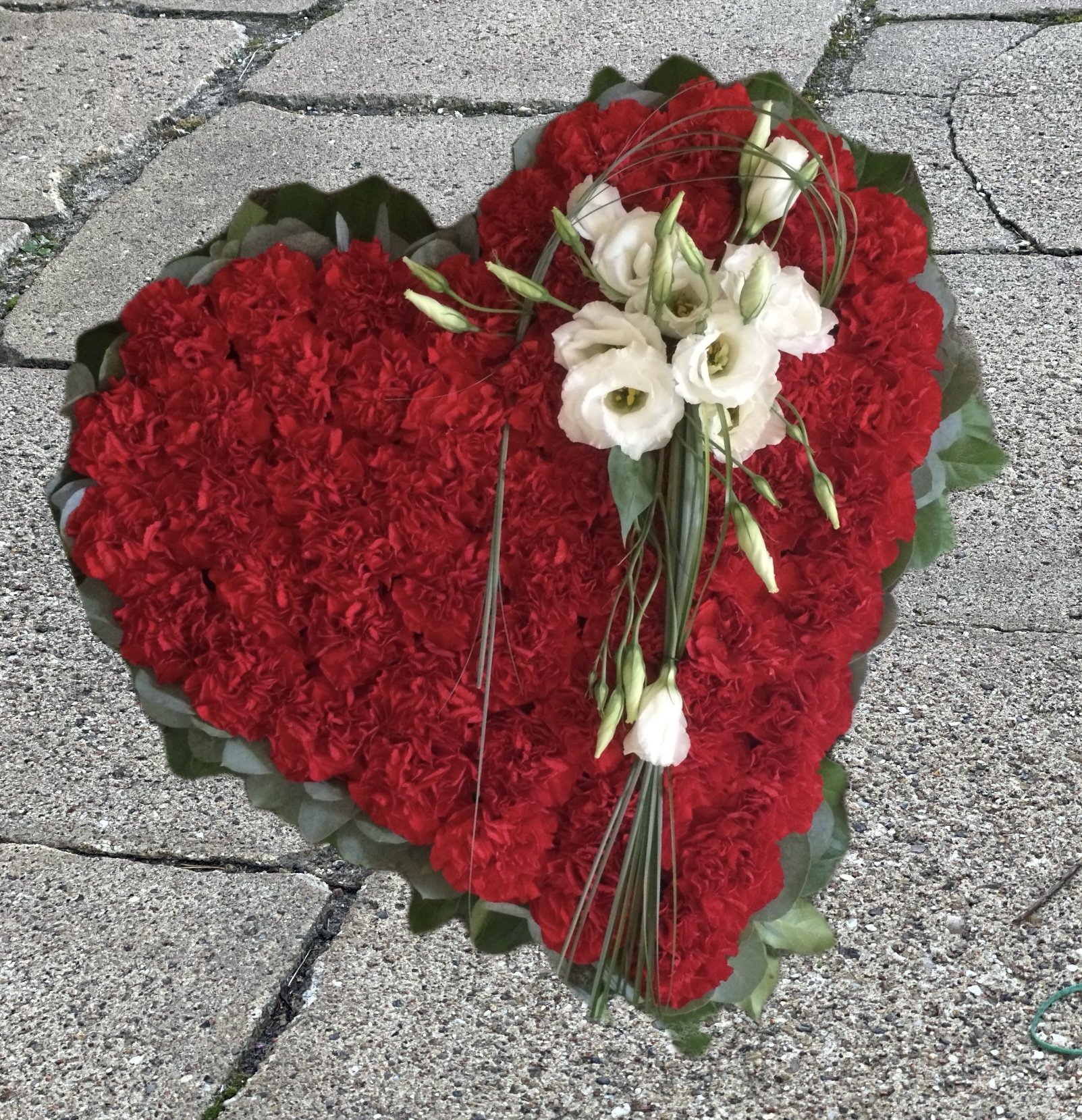 RD/HVID OASIS HJERTE