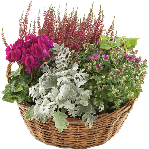EFTERRS BEPLANTNING
