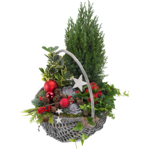 JULE SAMMENPLANTNING