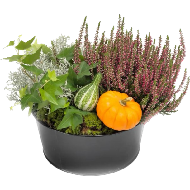 EFTERRS BEPLANTNING