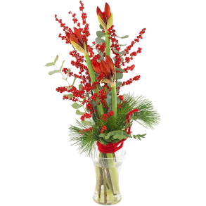 RD AMARYLLIS JULEBUKET