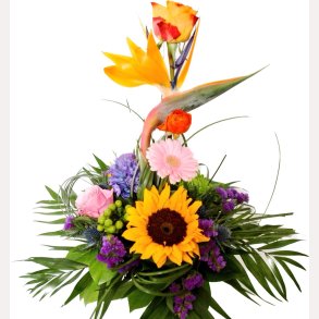 MULTIFARVET FANTASI BUKET