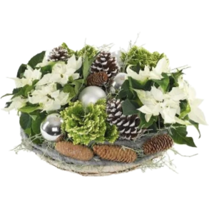 HVID JULE SAMMENPLANTNING