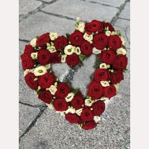 RDT/HVIDT OASIS HJERTE