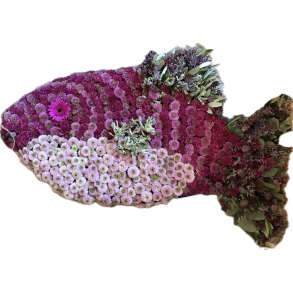 Farvestr�lende Fisk