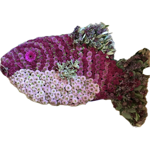 Farvestrlende Fisk
