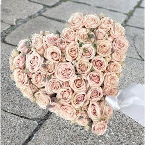 LAKSEFARVET ROSER I OASIS HJERTE